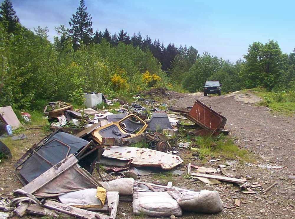 illegal dumping site on king county road