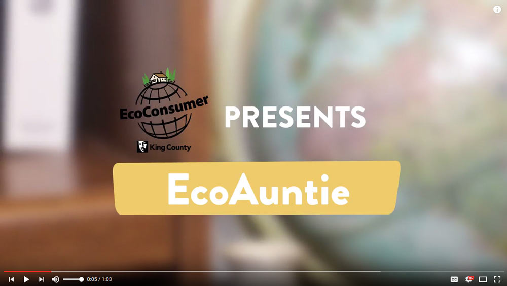 EcoAuntie video tiếng Việt