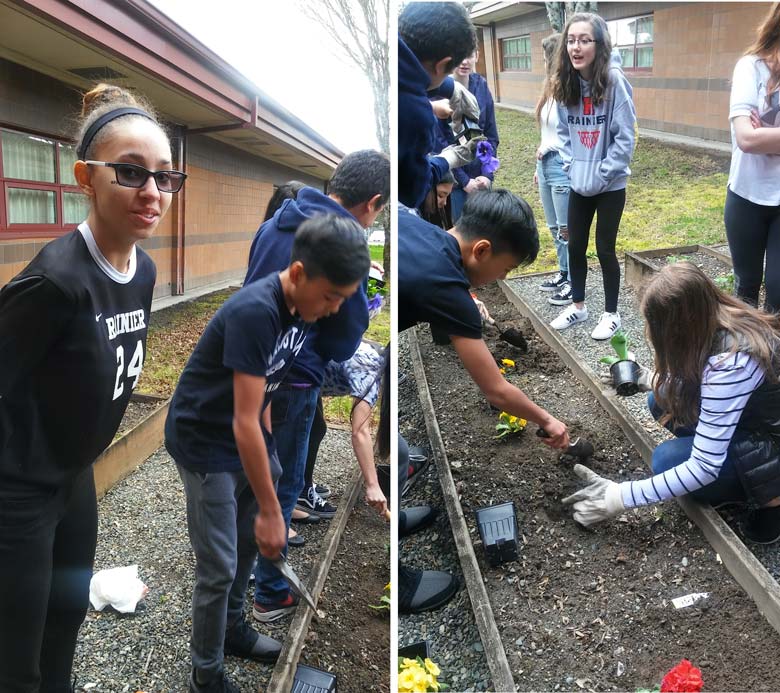 Rainier Middle School students revitalized their school garden
