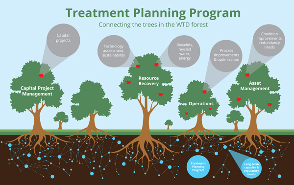 A cross section of a landscape with trees, rich brown soil, grass and leafy trees. Each tree represents different parts (Capital Project Management, Resource Recovery, Operations, Asset Management) of the WTD agency and how Treatment Planning Program connects them together. 