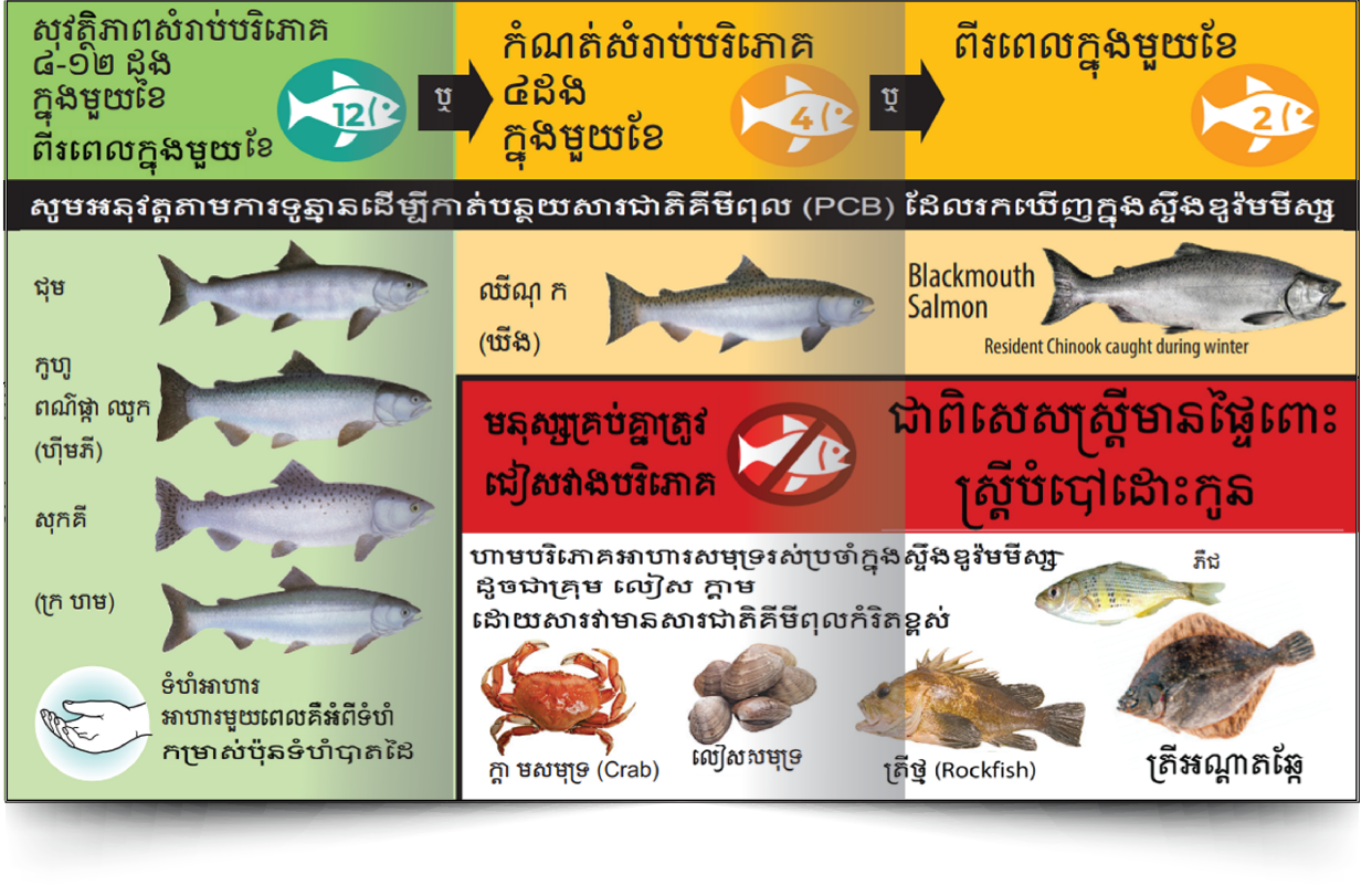 Duwamish Waterway Consumption Advisory card (Khmer)