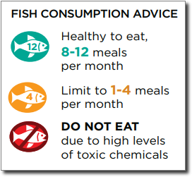Fish Consumption Advice chart