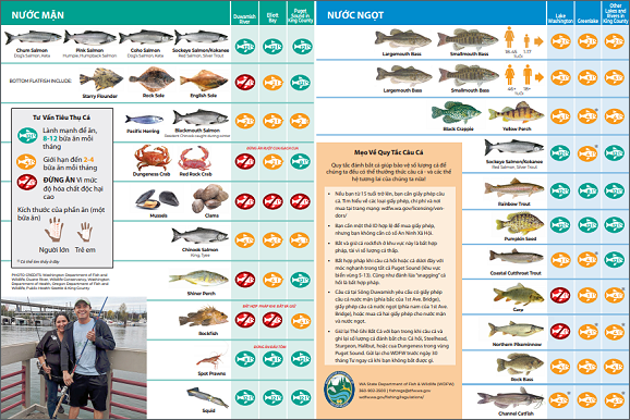 King County Guide: Go Fishing for Safe Seafood to Eat