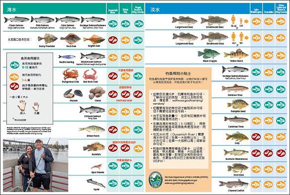 在金县钓鱼: 可以安全食用的海鲜