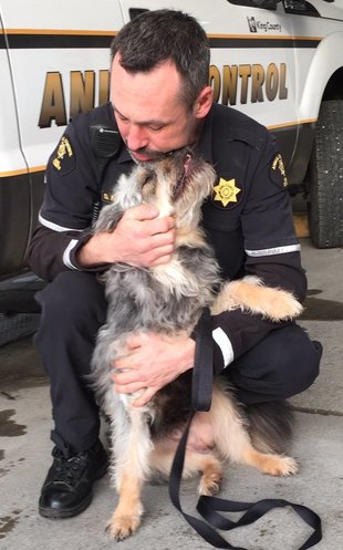 Animal control officer holding a dog