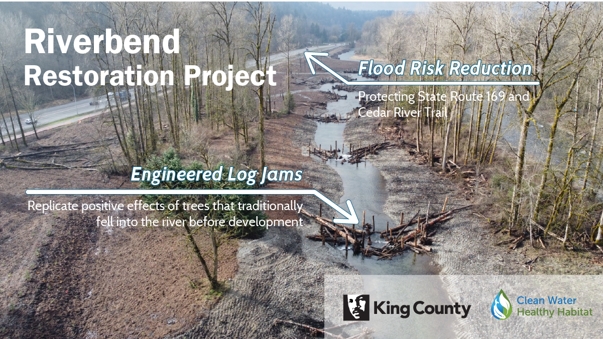 Riverbend Restoration Project aerial photo showing engineered log jams that replicate positive effects of trees that historically fell into the river before development, and flood risk reduction that protects State Route 169 and the Cedar River Trail
