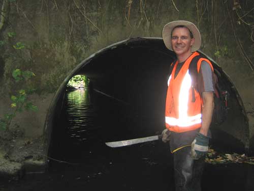 Photo showing man with machete standing knee deep in water in front of a culvert