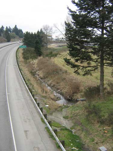 Photo of a stream in a ditch next to a highway