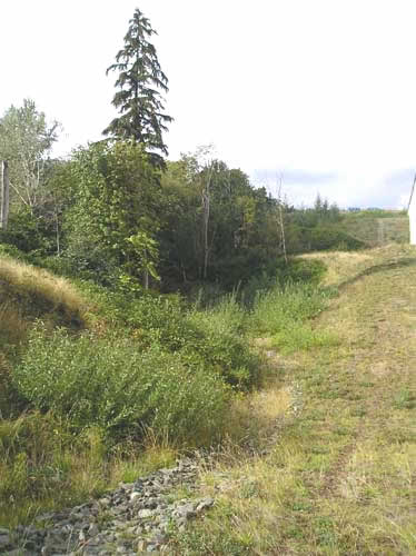 Photo of depression west of the third runway where Walker Creek headwaters are located