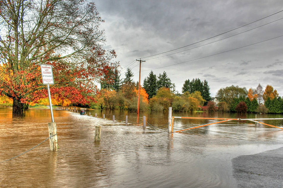 A flooded parking lot during the autumn season