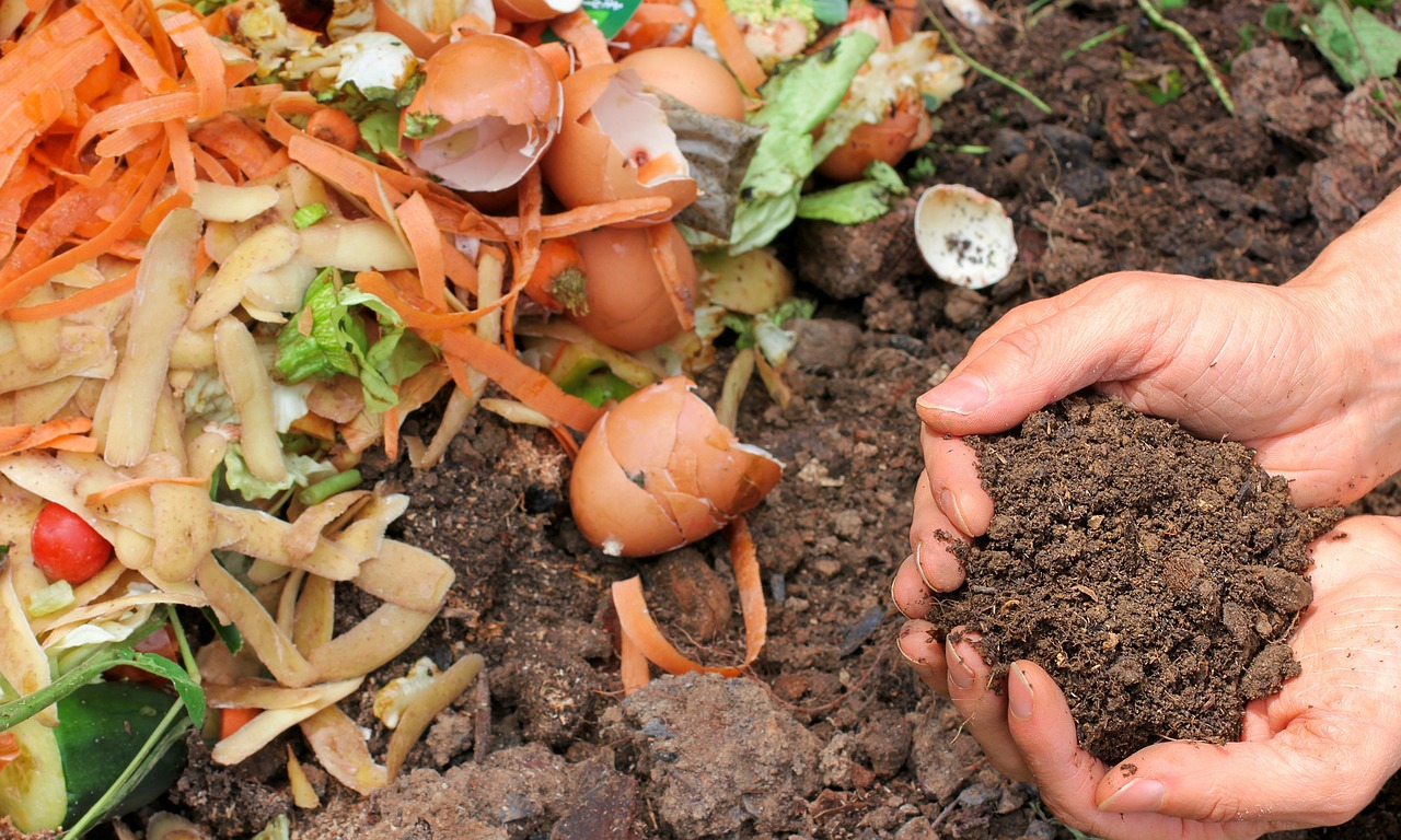 An up-close shot of a pair of hands holding compost with a background of food scraps including egg shells and carrot and potato skins