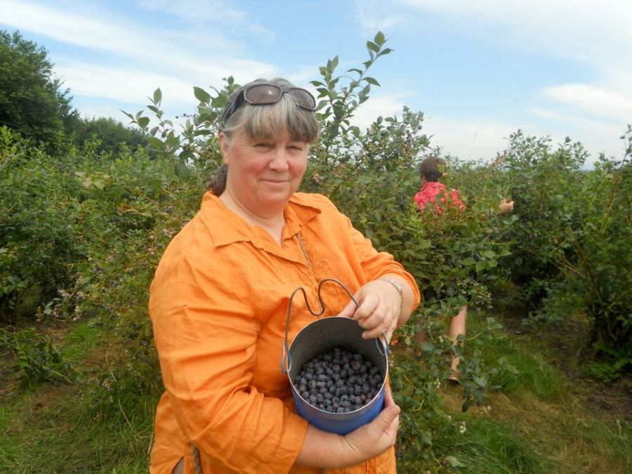 A white woman with gray hair in an orange shirt holds a container of blueberries while standing in a field of green.