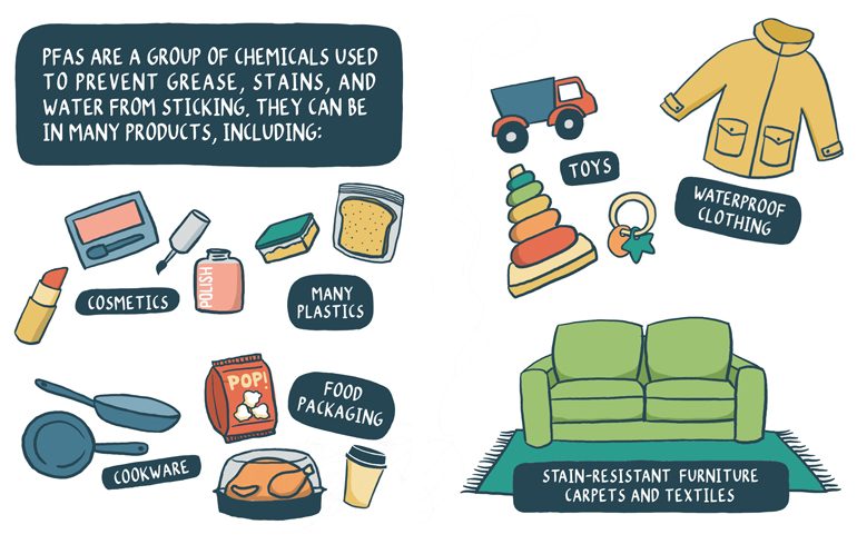 A graphic illustration lists a range of PFAS exposure sources, including jackets, toys, furniture, and more