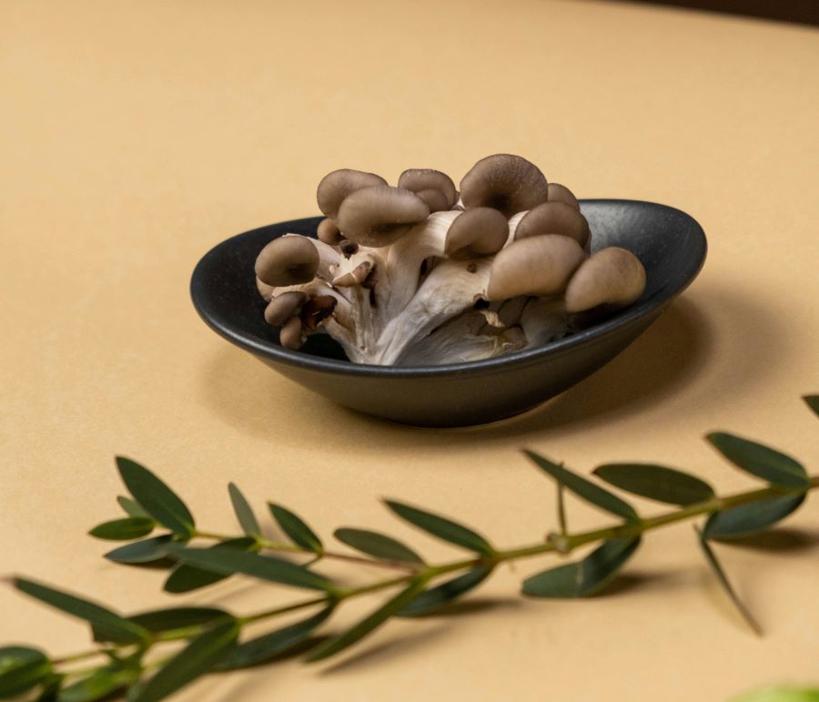 A bowl of oyster mushrooms on a pale orange table with a branch with green branches resting in front of it