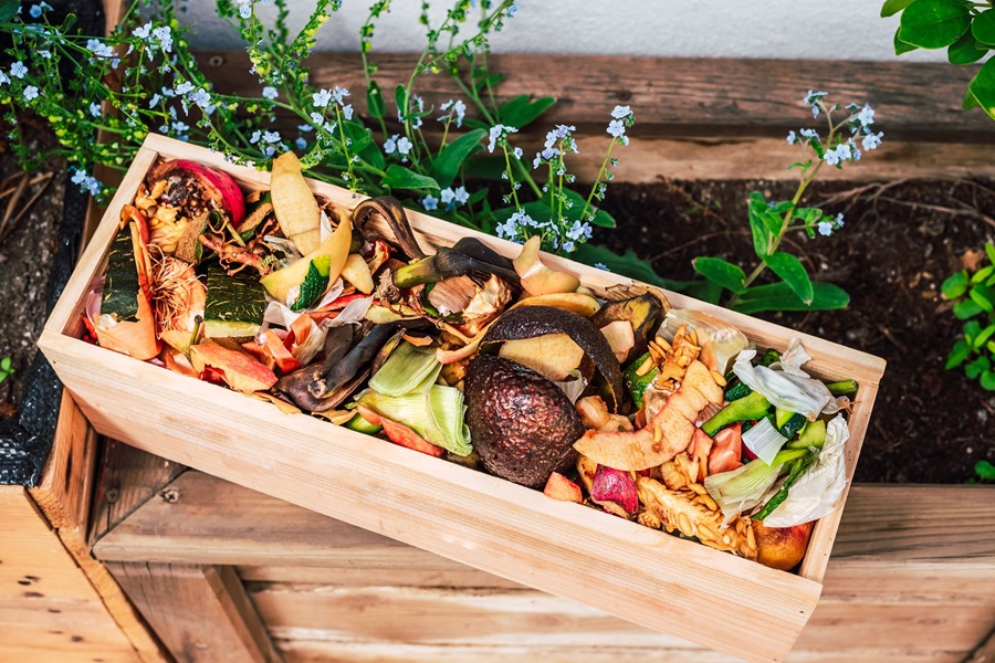 A top-down view of a compost bed filled with vegetable and produce scraps