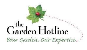 A green leaf graphic with a red ladybug sits above text that reads "The Garden Hotline: Your Garden, Our Expertise"