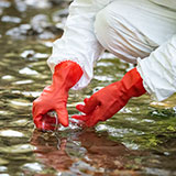 Closeup of orange-goved hands gathering a water sample from a stream.