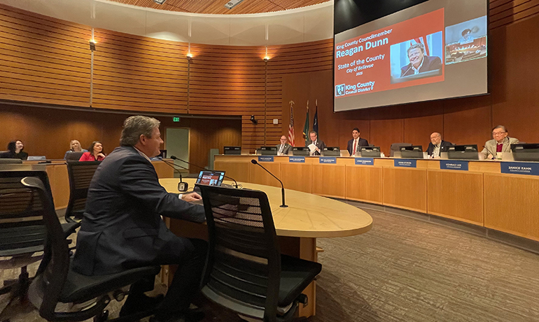 Bellevue City Council