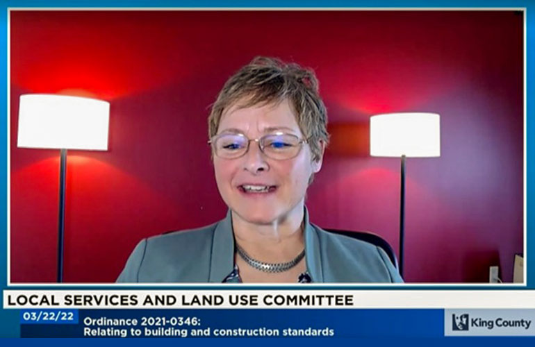 Councilmember Perry virtually at the Local Services and Land Use Committee.