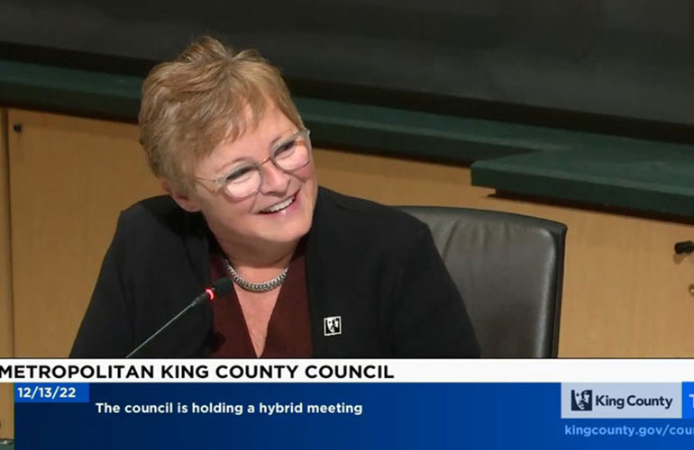 Councilmember Sarah Perry in Chambers.