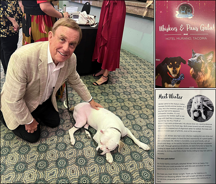 Whiskers-and-Paws-Gala