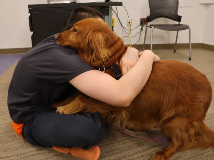 A youth at the Clark Children and Family Justice Center hugs a therapy dog.