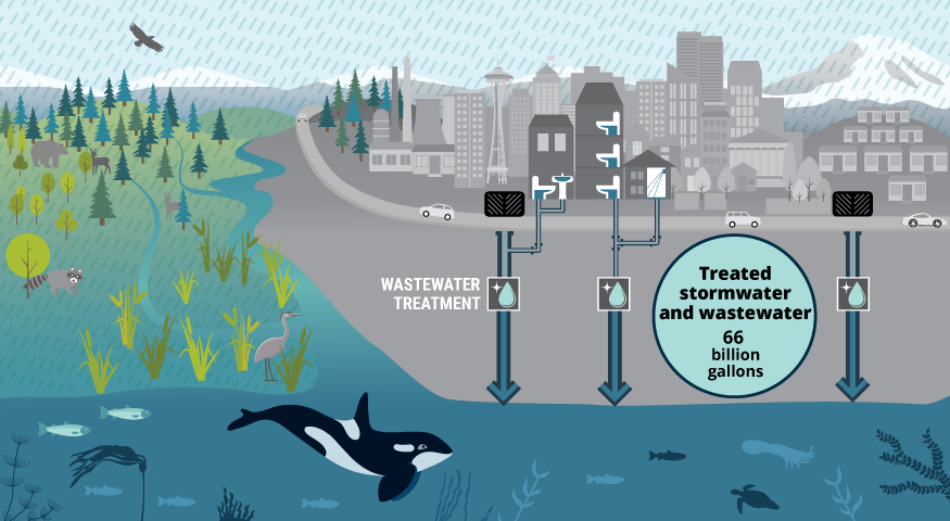 Landscape illustration showing rain falling on a mix of natural lands and city with some pollution sources including motor oil, metals, yard chemicals and pet waste flowing through wastewater treatment and out into Puget Sound, with its marine animals and plants