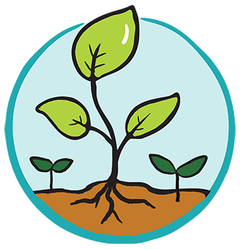 Environmental Sustainability