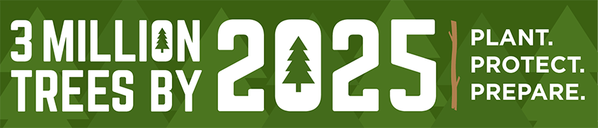 3 Million Trees by 2025: Plant, Protect, Prepare