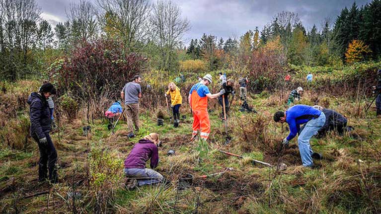 Outdoor volunteer planting event