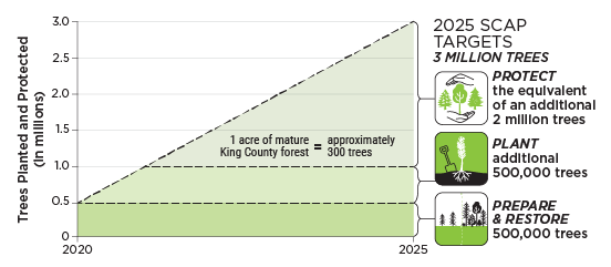 Graph showing trees planted and protected over time, as planned in King County's Strategic Climate Action Plan
