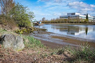 Duwamish Waterway Park