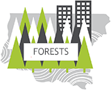 Forests