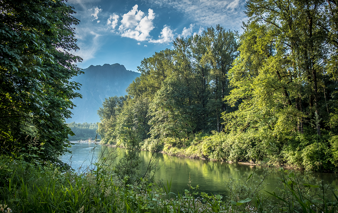 Snoqualmie River Trail view