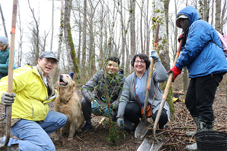 Four people planting a tree 