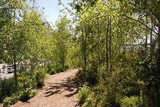 Olympic Sculpture Park