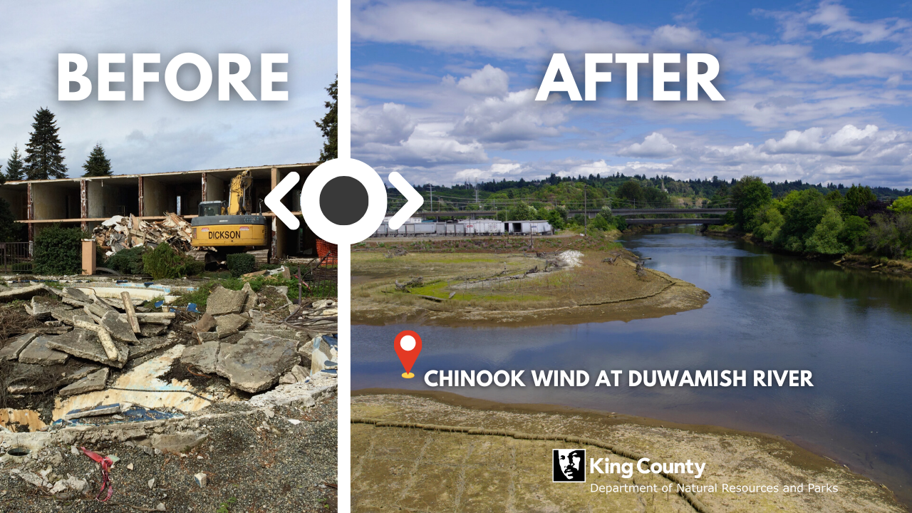 Chinook Wind project location before and after