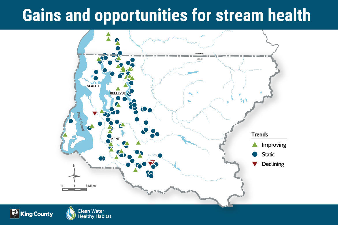 Gains and opportunities for stream health map showing stream sampling points across King County with health trends that are improving, static or declining