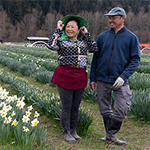 Farm couple posing in front of rows of daffodils representing Washington Farmland Trust and PNW BIPOC Farmland Trust