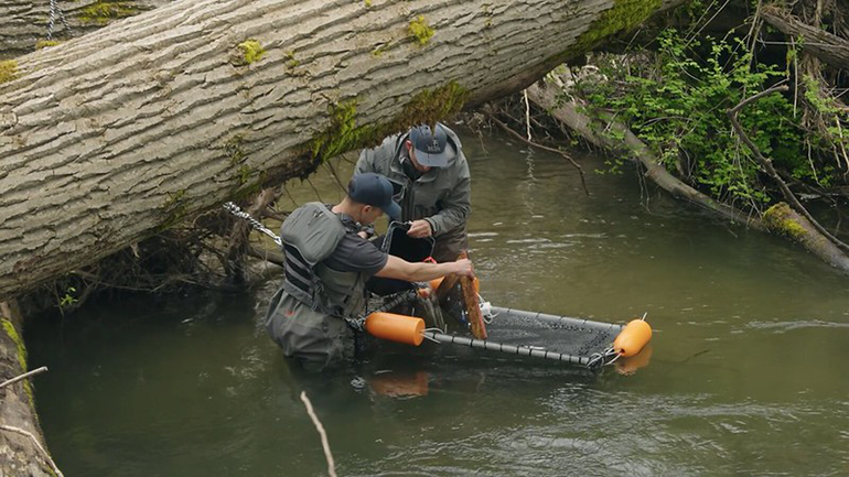 Staff ecologists working in a side channel of the Snoqualmie River