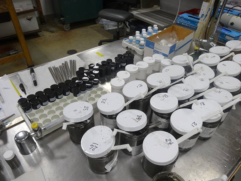 Researchers at the King County Environmental Lab study the Lake Washington sediment layers