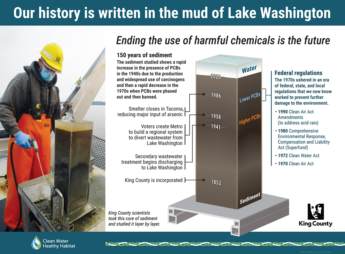 Our history is written in the mud of Lake Washington: timeline showing 150 years of sediment. The sediment studied shows a rapid increase in the presence of PCB's in the 1940s due to the production and widespread use of carcinogens and then a rapid decrease in the 19670s when PCBs were phased out and then banned.