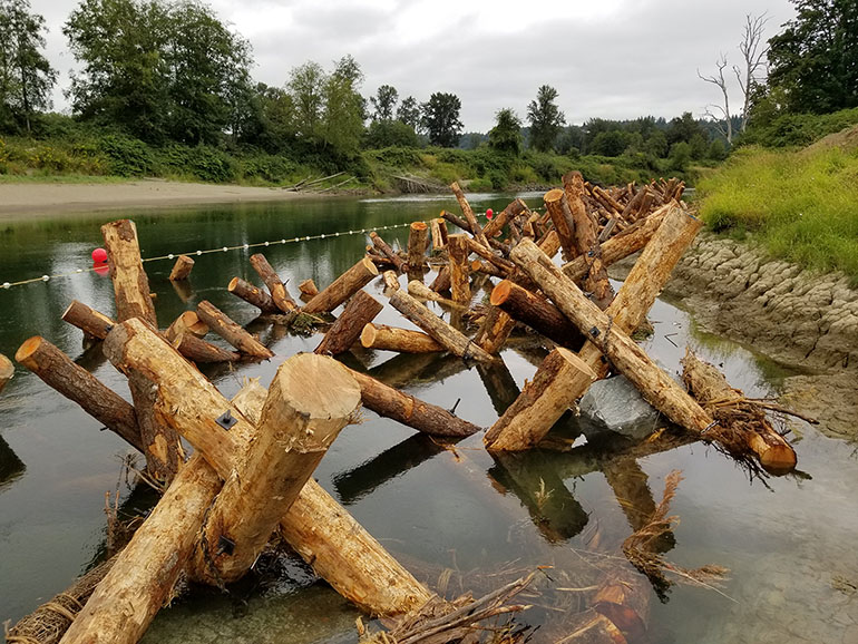 Habitat restoration project in a river with large wood log tripods installed along the river bank.