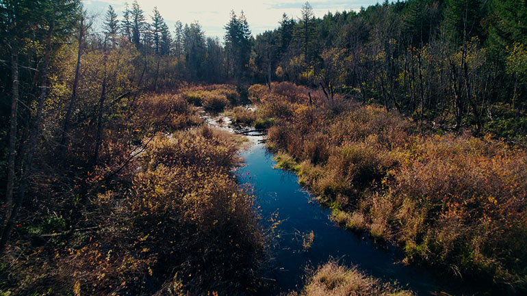 Fish passage and habitat restoration