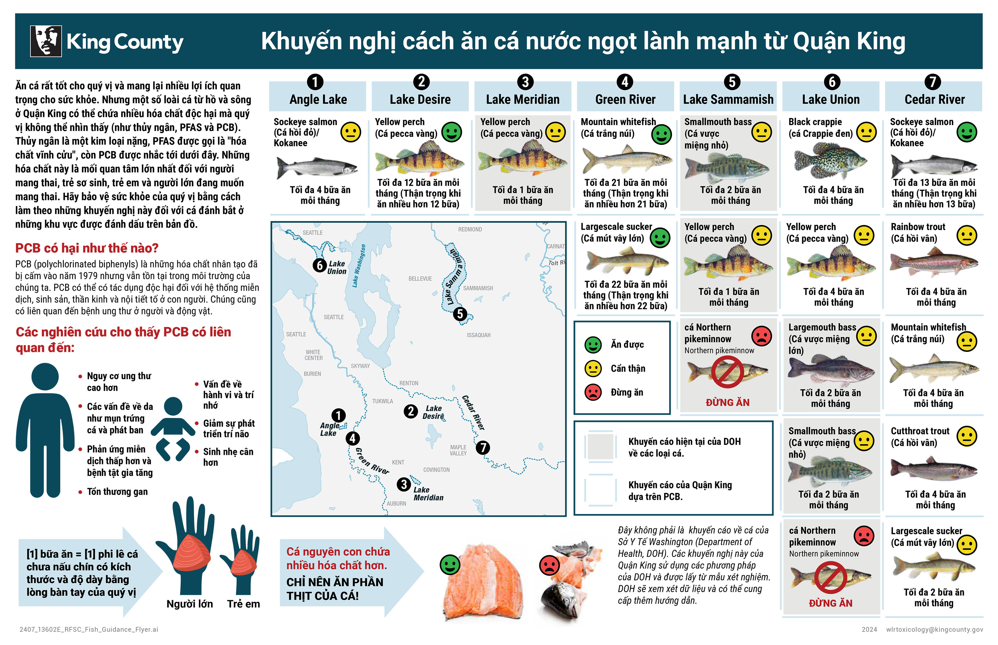 Khuyến nghị cách ăn cá nước ngọt lành mạnh từ Quận King