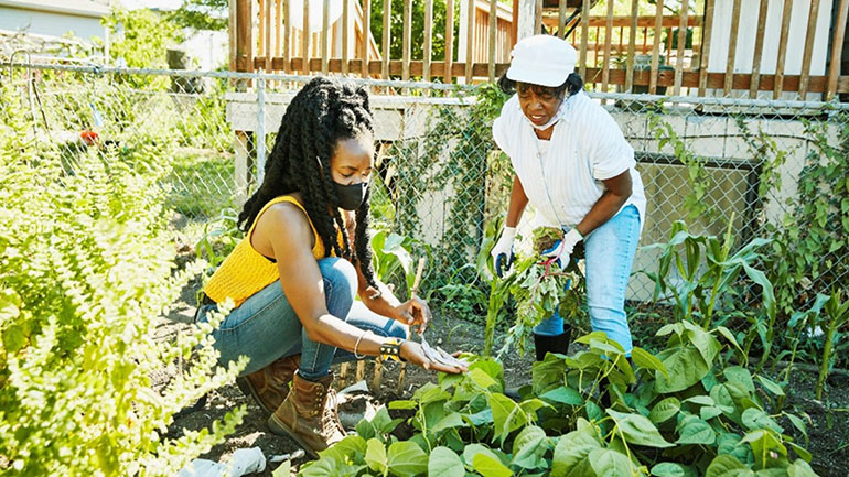 Photo of two women at work in an urban farm