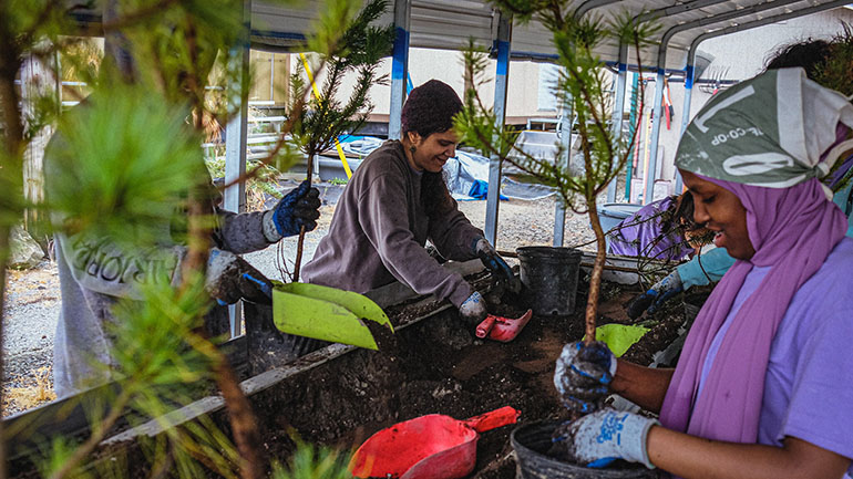 Youth Conservation Corps people working in a greenhouse