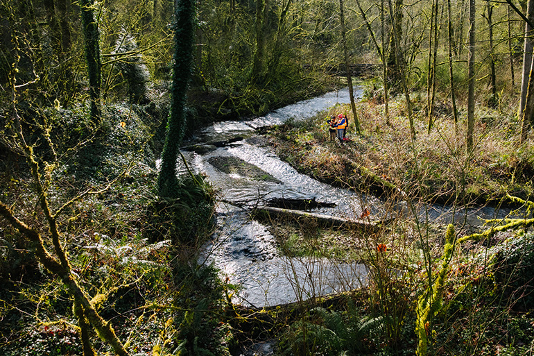 Workers at Coal Creek project site with surrounding forest