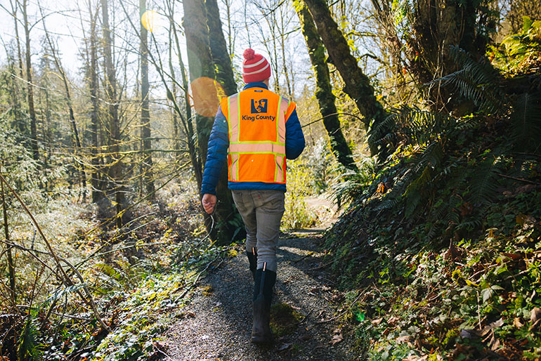 Sewer worker walking the trail in the natural area around Coal Creek