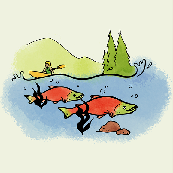 Artwork of salmon swimming in the water with a kayak and trees in the background